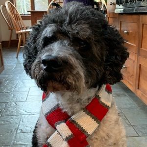 Meet your Posher, Nathaniel